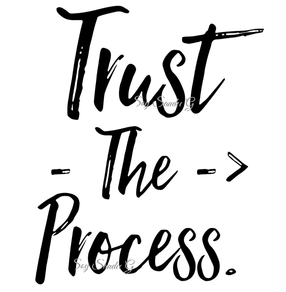 Trust the Process - UVDTF Decal for cups/hard surfaces sticker