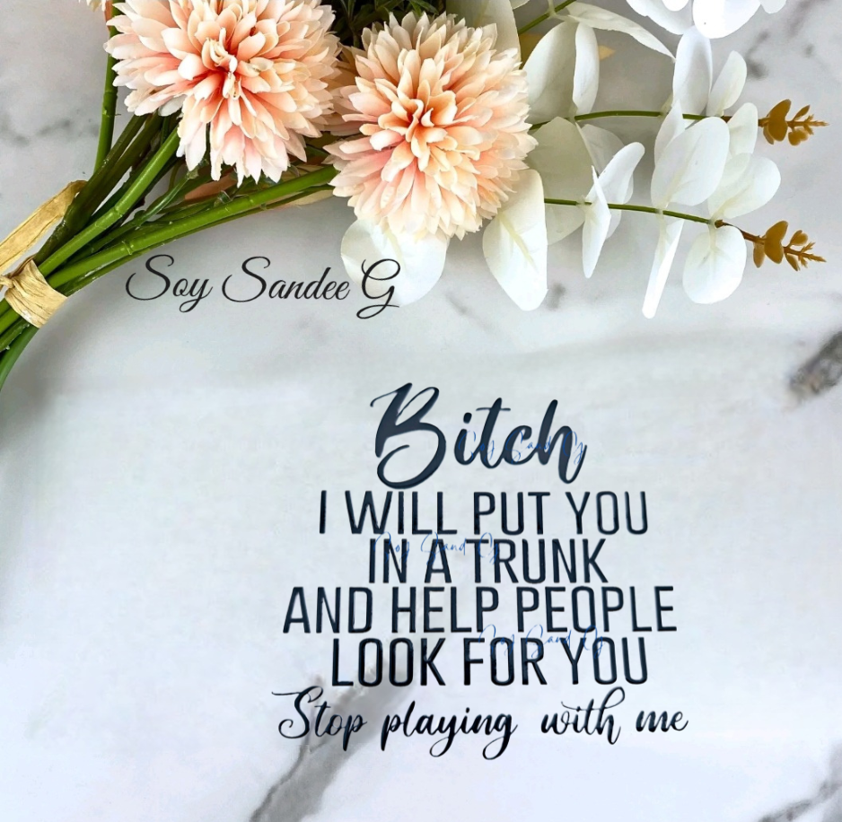 Bitch I will put you in a trunk... - UVDTF Decal for cups/hard surfaces sticker