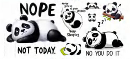 Nope Not Today Panda - UVDTF Wrap for cups/hard surfaces sticker