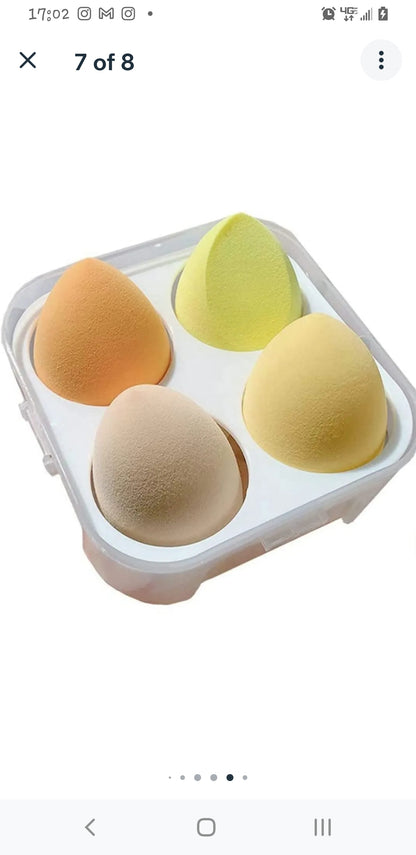 Beauty Blender with Storage Case