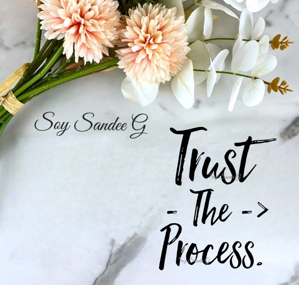 Trust the Process - UVDTF Decal for cups/hard surfaces sticker