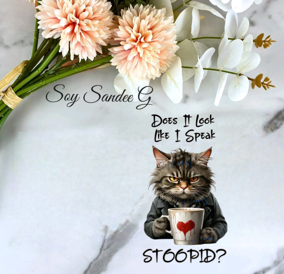 Does It Look Like I Speak Stoopid? - UVDTF Decal for cups/hard surfaces sticker