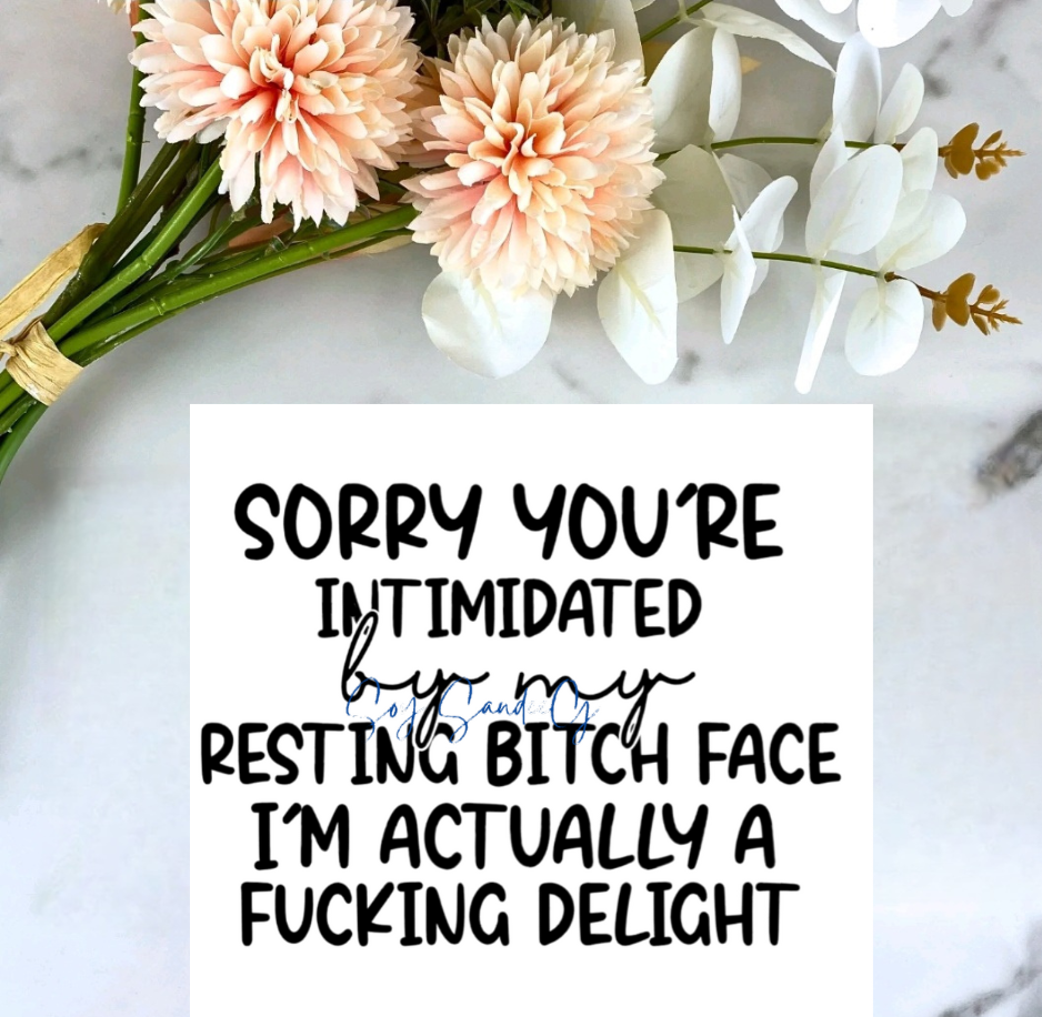 I'm Sorry You're Intimidated - UVDTF Decal