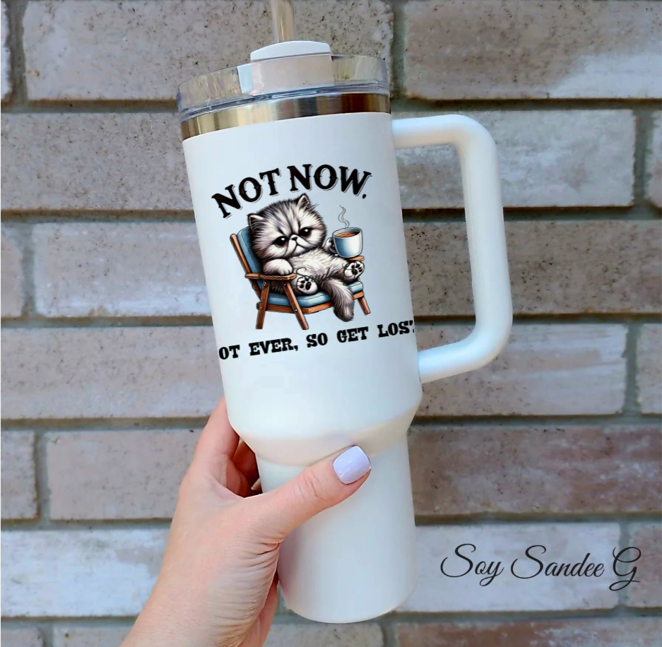 Not Now Cat - UVDTF Decal for cups/hard surfaces sticker