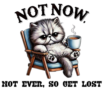 Not Now Cat - UVDTF Decal for cups/hard surfaces sticker