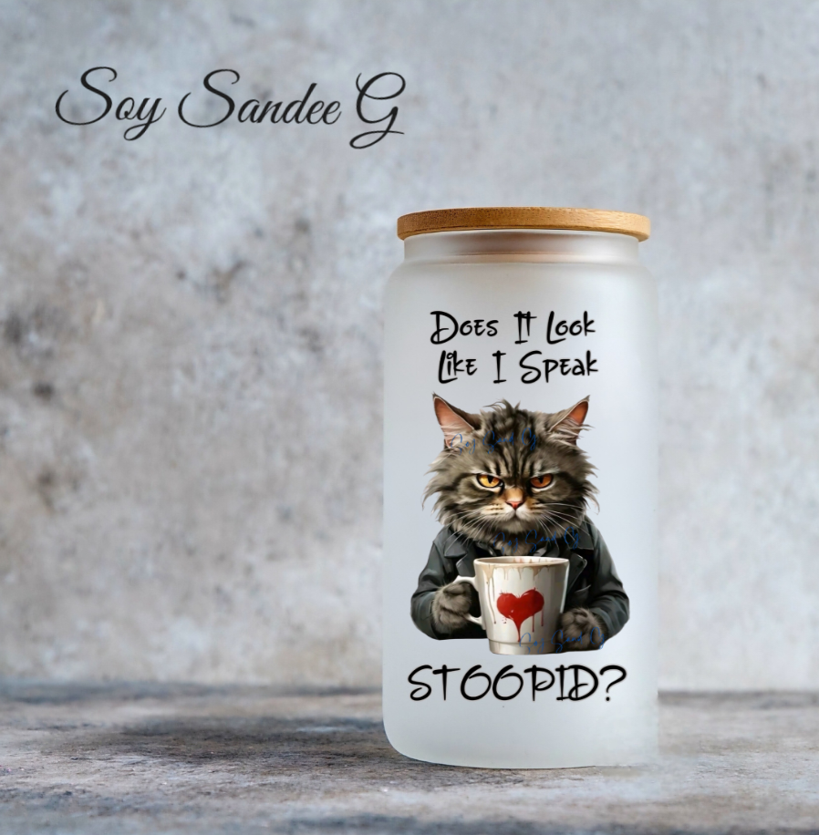 Does It Look Like I Speak Stoopid? - UVDTF Decal for cups/hard surfaces sticker