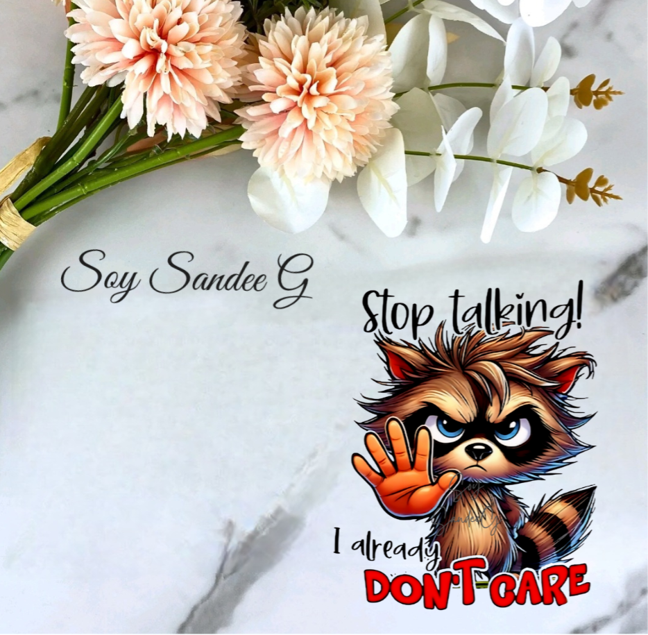 Stop Talking Raccoon - UVDTF Decal for cups/hard surfaces sticker