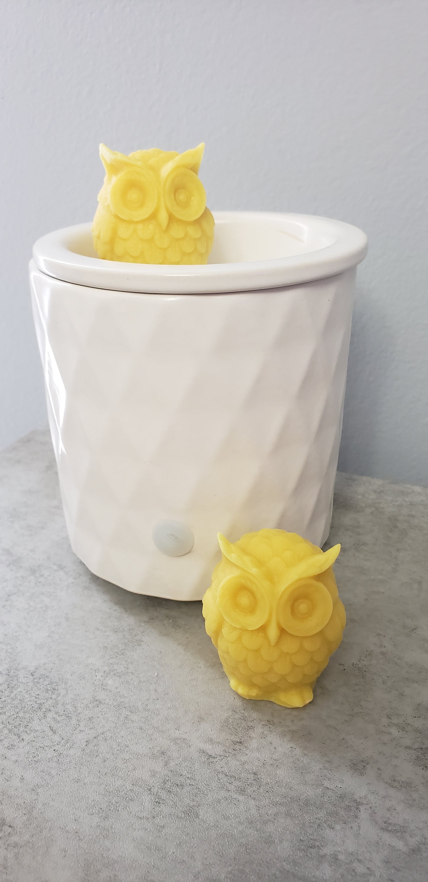 Cute Owl Wax Melt - Sample size